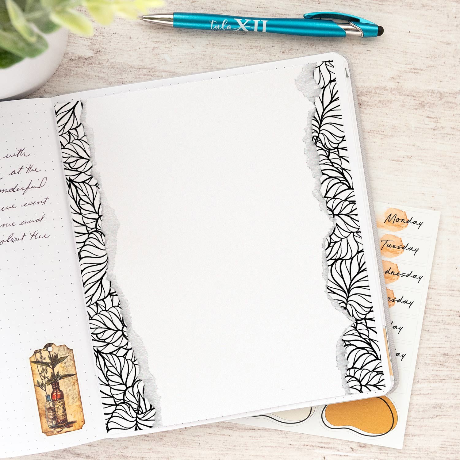 Journal Stick Ins - Ripped Edges A