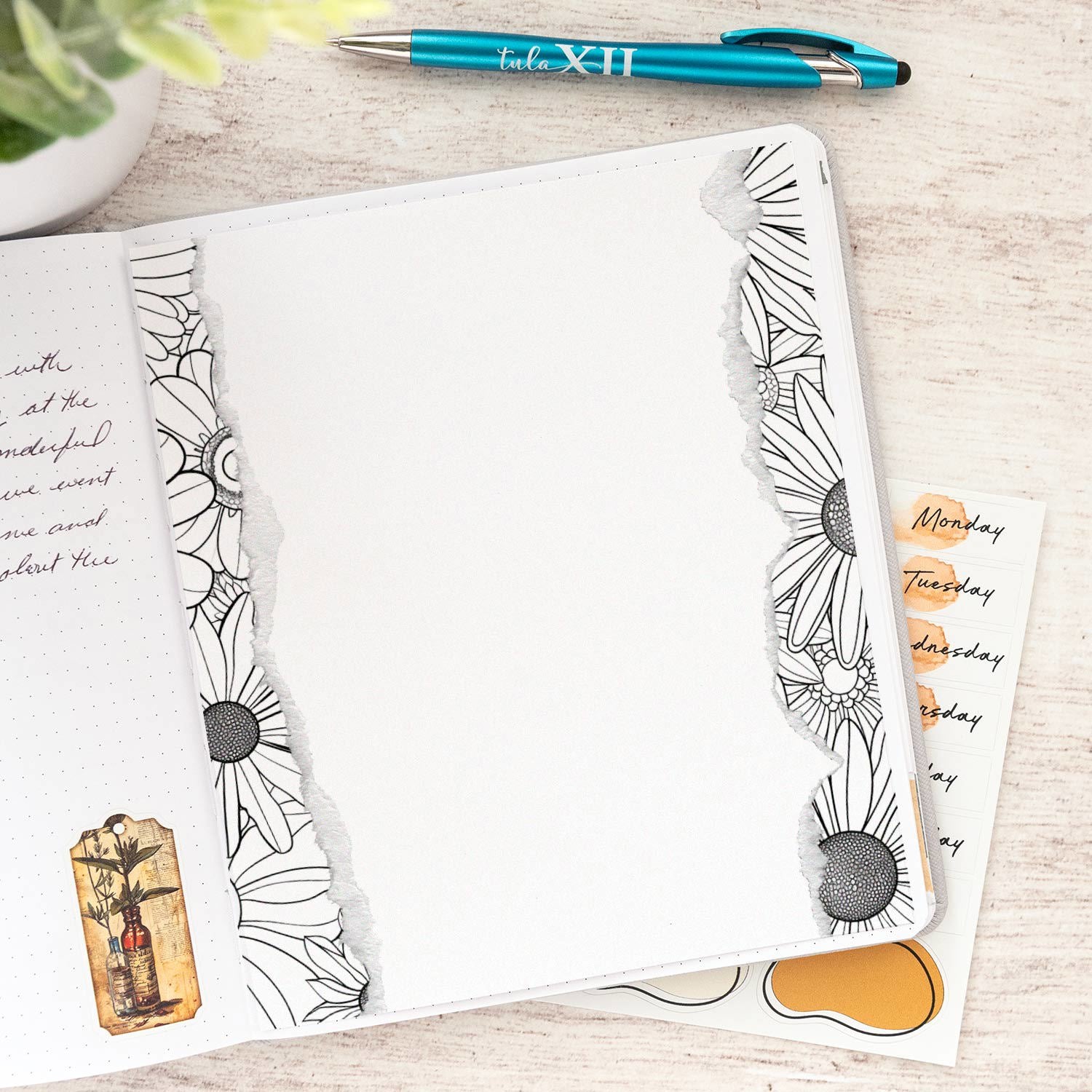 Journal Stick Ins - Ripped Edges B