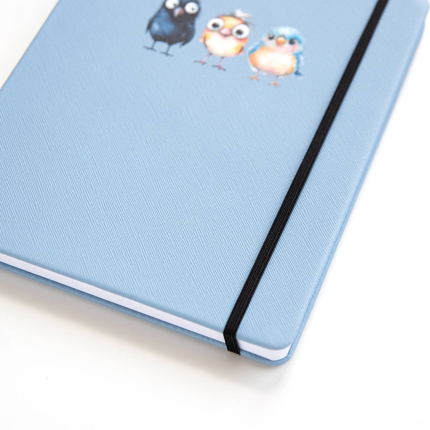 Journal - Birds